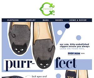 C. Wonder email newsletter August 2014