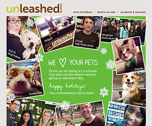 Unleashed email newsletter December 2014